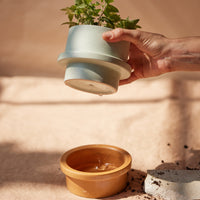 Folia Scented Candle at material26